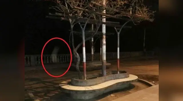 Imagen ha sido difundida en redes sociales