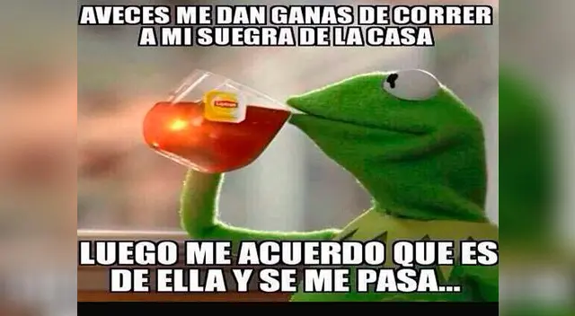 Los tipos de suegra que nadie quisiera tener en casa.