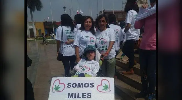 Se estima que en Perú más de 100 familias usan el cannabis medicinal de forma clandesitna