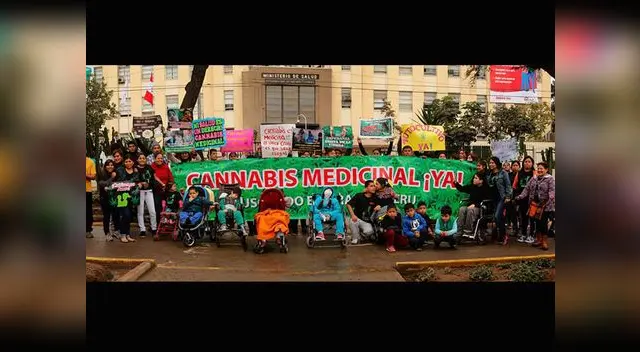 El cannabis medicinal ayuda al tratamiento del síndrome de West 