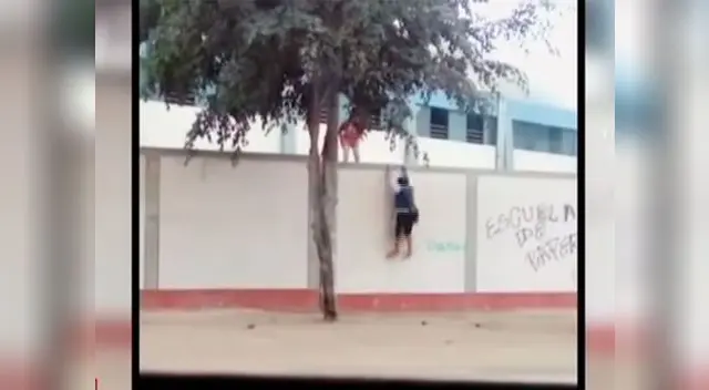 Vecinos captaron a menores evadiéndose de colegio