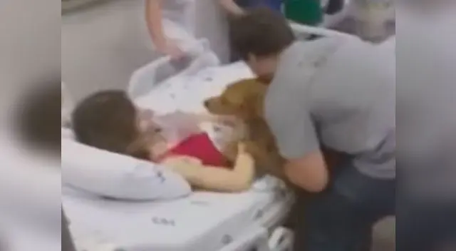 La mujer se mostró muy contenta al ver a su mascota para despedirse La mujer se mostró muy contenta al ver a su mascota para despedirse