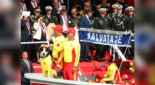 Mascota de PPK se llevó los aplausos de la familia presidencial en la Parada Militar Mascota de PPK se llevó los aplausos de la familia presidencial en la Parada Militar