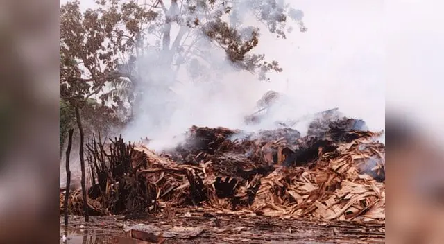 El fuego ha devorado pastizales, árboles, y animales y hay 4 personas heridas.