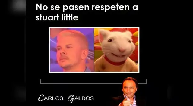 No hay motoratón, pero si está Stuart Little No hay motoratón, pero si está Stuart Little