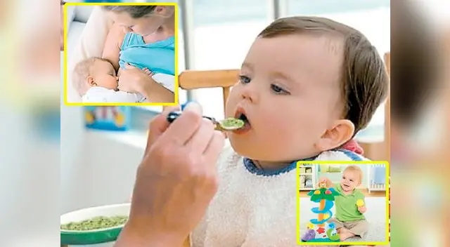 Se puede iniciar con dos comidas al día, sumadas a la leche materna