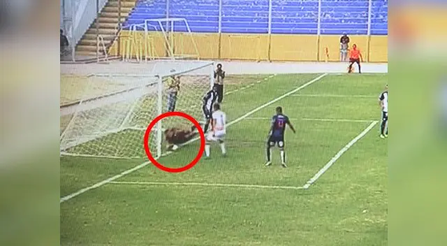 Conar admite que perjudicaron a Alianza con error del árbitro