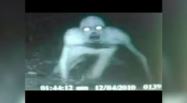 Extraño ser en la Panamericana Sur