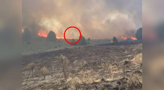 El ente hizo presencia en medio del fuego, causando terror en las personas 