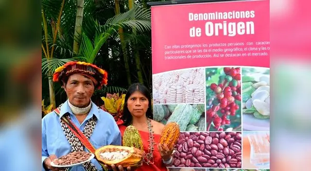 Indecopi reconoce al cacao amazónico Indecopi reconoce al cacao amazónico