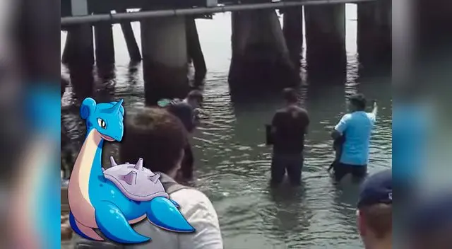 Todo es válido por tener a un poderoso pokémon Todo es válido por tener a un poderoso pokémon