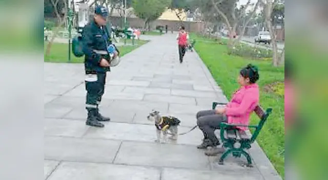 Fiscalizadores aplican multas en 365 parques de santiago de surco