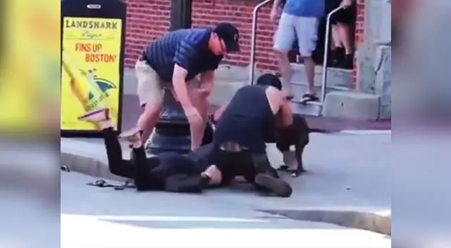 El gran animal atacó a la mascota y su dueña cuando transitaban en la calle