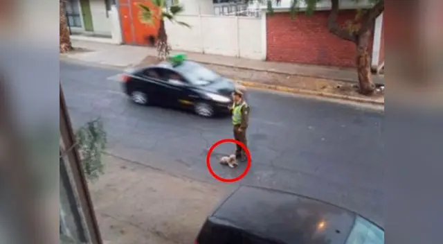 El policía no dudó en poner su propia vida en riesgo para salvar al pequeño animal