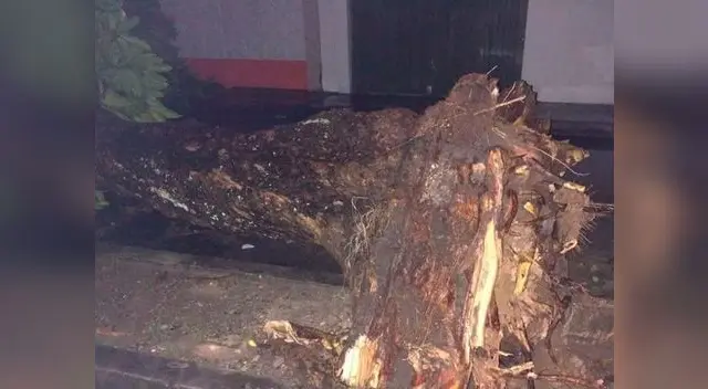 Lluvia torrencial en Iquitos deja 19 heridos y 20 viviendas afectadas