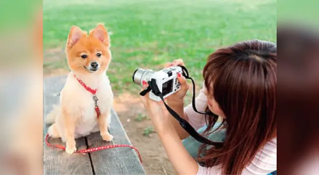 Si te gusta la fotografía puedes dedicarte a este oficio y ganar dinero