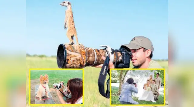 tienes posibilidades de trabajar en distintos negocios tienes posibilidades de trabajar en distintos negocios