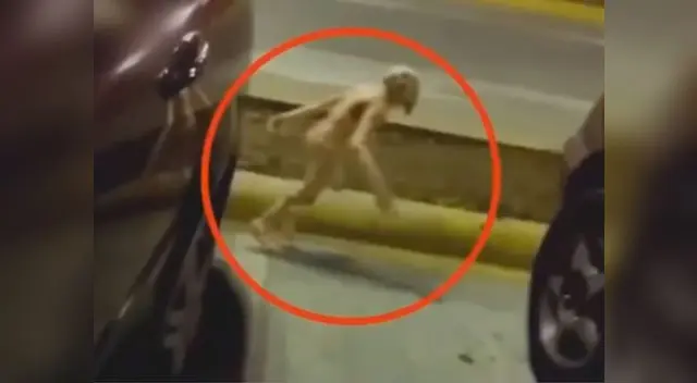 El extraterrestre corrió rápidamente para no ser captado por la cámara   El extraterrestre corrió rápidamente para no ser captado por la cámara