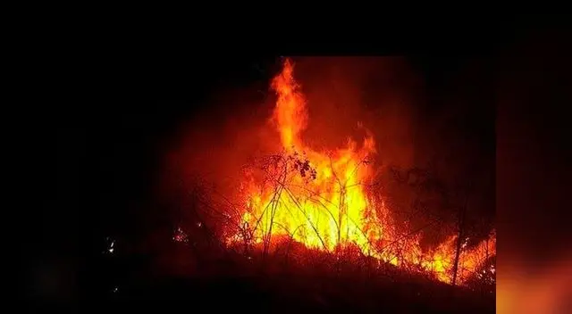 Incendio forestal del VRAEM aún no está controlado