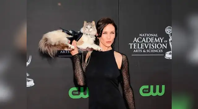 Subastan un bolso hecho con un gato muerto por 1.450 dólares Subastan un bolso hecho con un gato muerto por 1.450 dólares