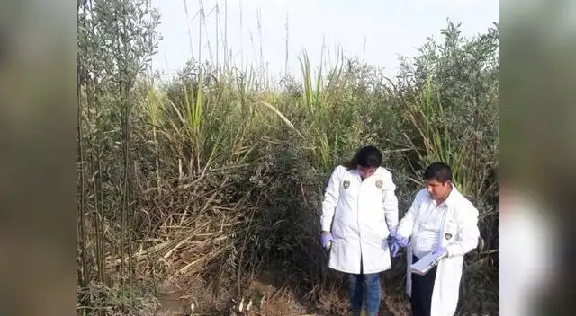 El cuerpo fue encontrado por un vecino en unos cañaverales.