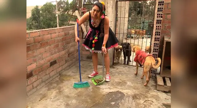 Trabajando duro por los perritos.