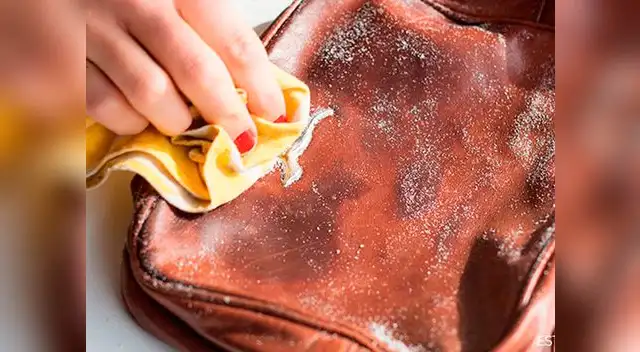 Cuida tus carteras con este súper tip.