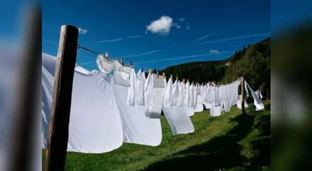 Pon a remojar la ropa durante cinco minutos en agua oxigenada.