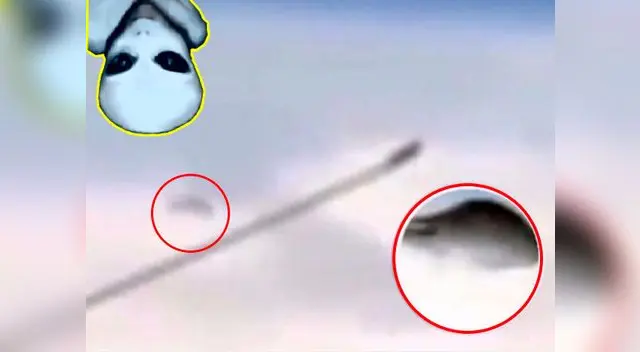 Captan imágenes de un extraño objeto volando cerca a la Tierra