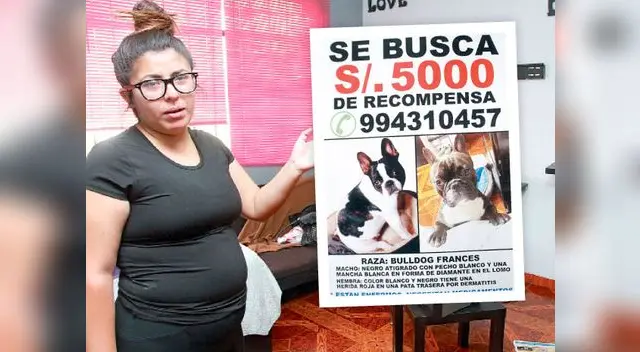 Óreo sufre del corazón. Mientras Bella tiene un tumor en su pata derecha