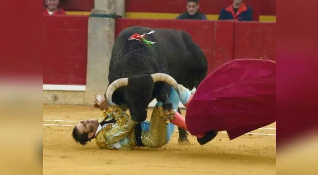 Torero sufre cornada cerca del rostro