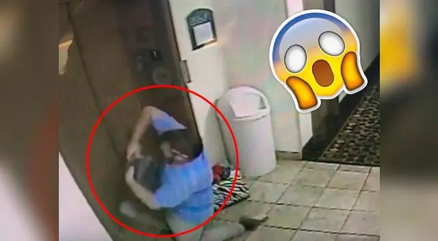 Perro salva de morir decapitado por un ascensor 