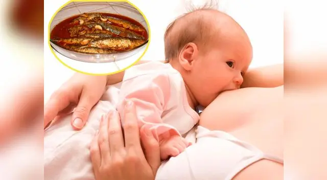 El omega 3 también contribuye a prevenir la depresión postparto. El omega 3 también contribuye a prevenir la depresión postparto.