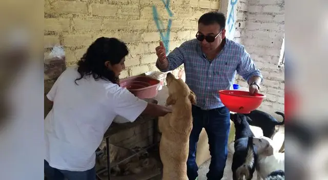 Preparando los alimentos para los perritos.
