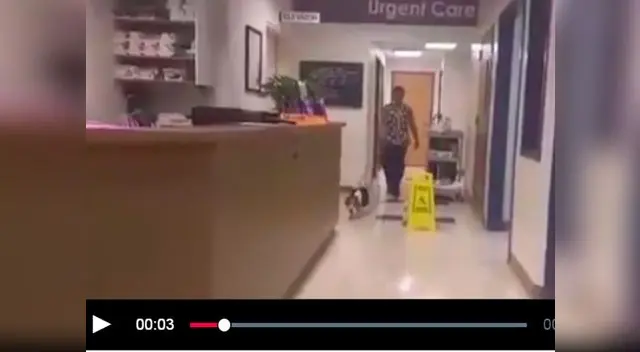 Perrita es sensación en youtube.