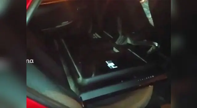 Artefactos y otras especies fueron recuperados