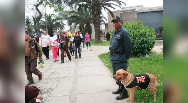 Colocan cámaras de seguridad en cementerios de El Agustino