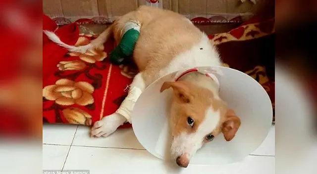 Estudiante puso en práctica sus conocimientos