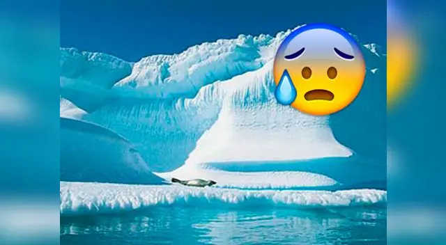 Misteriosos ruidos bajo el mar en Canadá