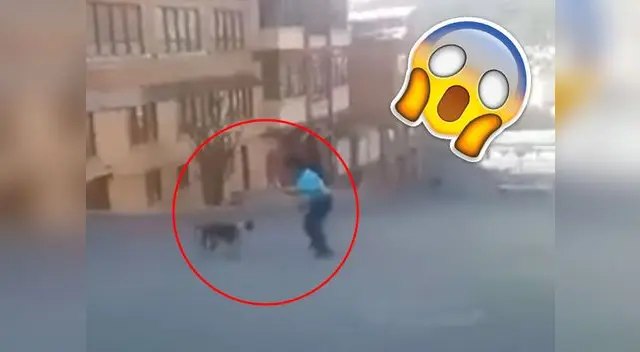 Sorprendente enfrentamiento entre un hombre con su machete y un perro pitbull