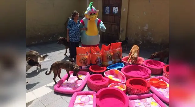 Dando de comer a los perritos.