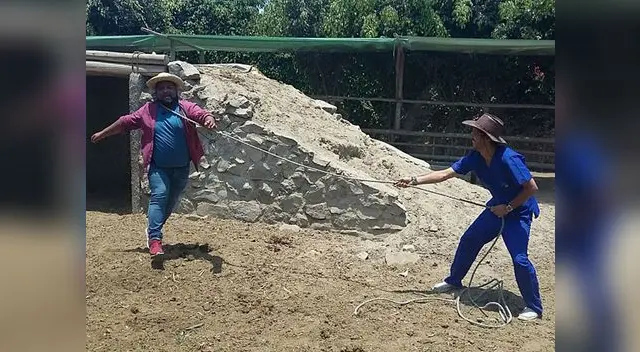 Choca haciendo de toro