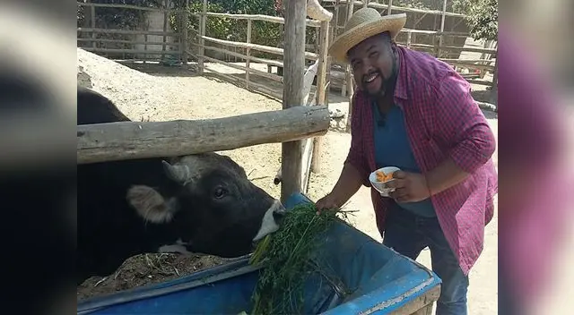 Choca dando de comer a la bonita vaquita.