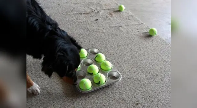 Juego interactivo. Juego interactivo.