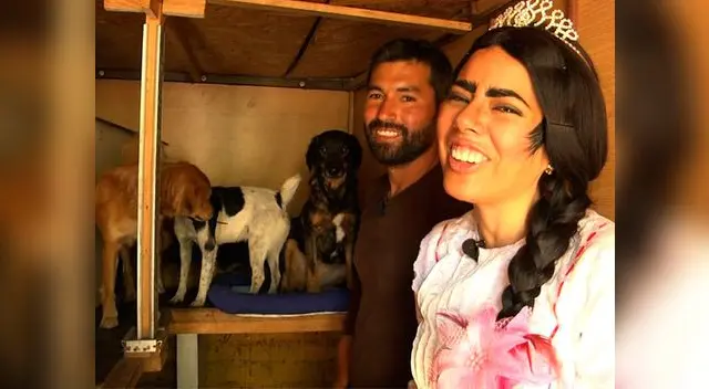 Amor por los perritos