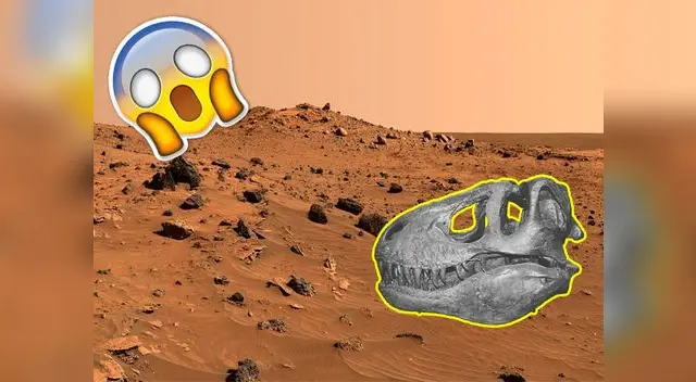 Encuentran supuesto cráneo de dinosaurio en Marte
