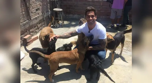 Con mucho amor por los animales.