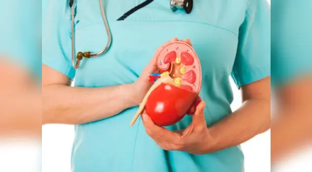 Conoce los síntomas de esta peligrosa enfermedad Conoce los síntomas de esta peligrosa enfermedad