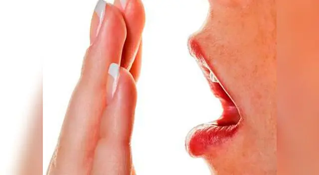 La halitosis procede del metabolismo de las bacterias anaerobias de la boca.
