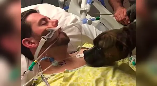 El hospital accedió a la visita de la mascota en sus salas